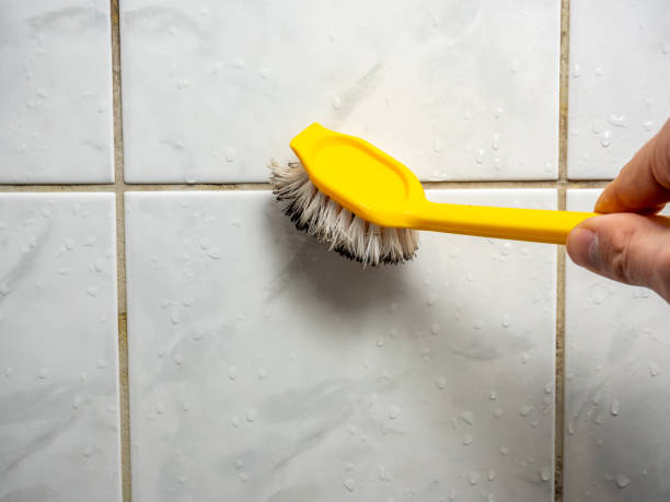 Best Office Mold Removal Services  in Montague, CA