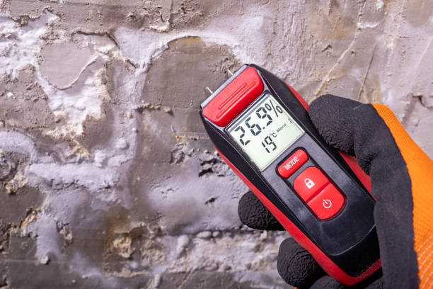 Best Crawl Space Mold Removal  in Montague, CA
