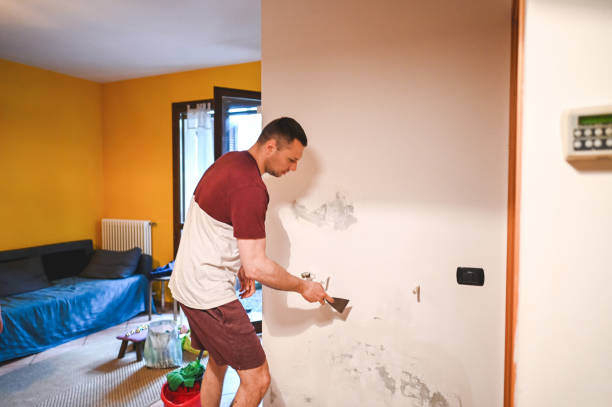 Attic Mold Removal in Montague, CA