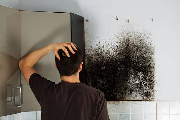 Best Residential Mold Removal  in Montague, CA